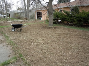 1.front yard before.April2014